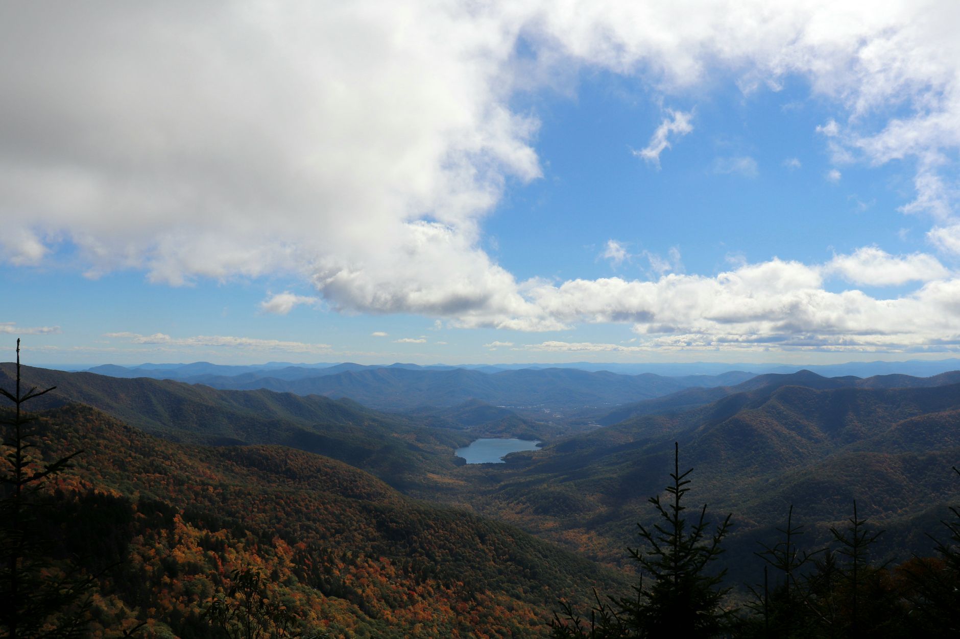 The Best Races in North Carolina, Ranked — Where Thanksgiving Takes the Top Four — story artwork