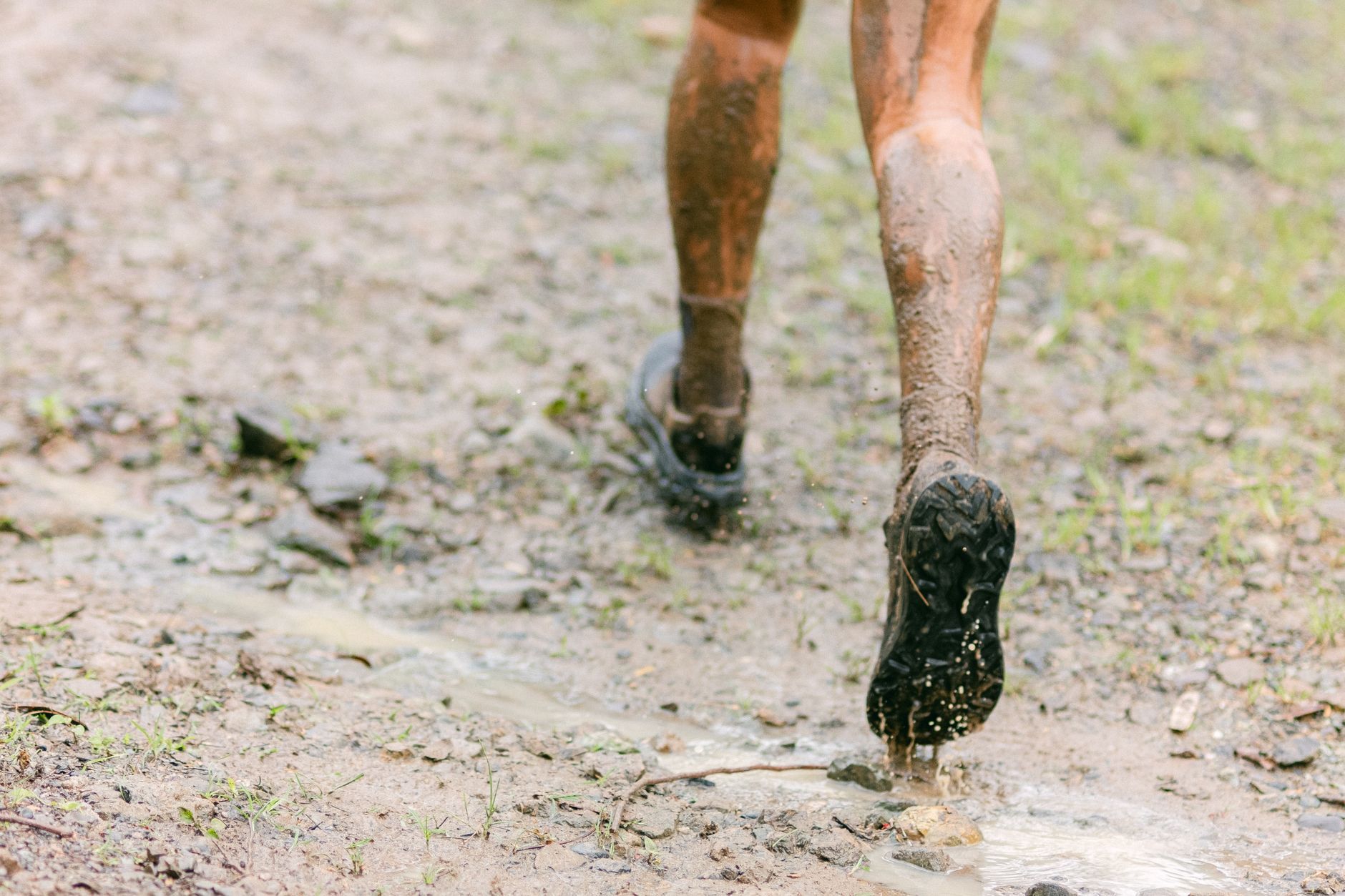 What a Trail Race Demands That a Road Race Doesn’t — story artwork